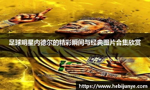 星空官方网站