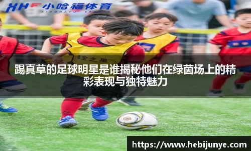 踢真草的足球明星是谁揭秘他们在绿茵场上的精彩表现与独特魅力